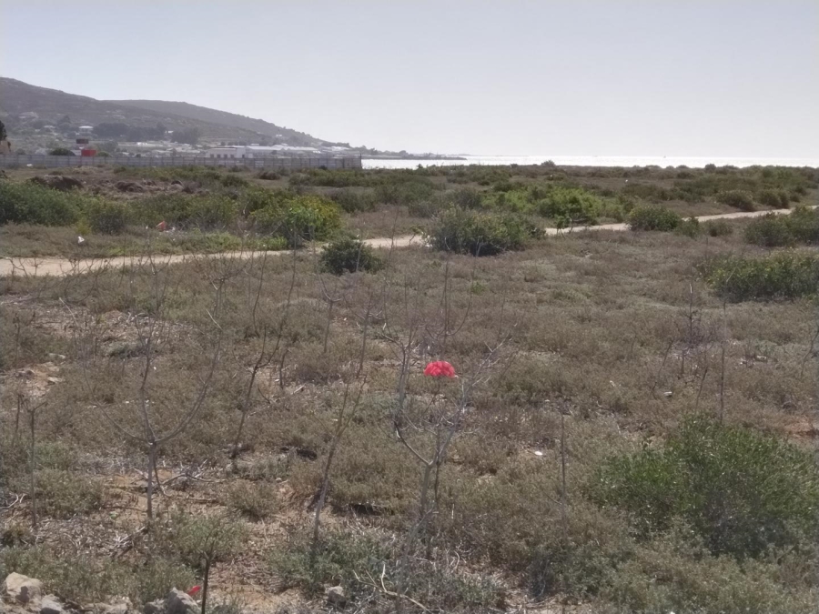 0 Bedroom Property for Sale in Laingville Western Cape